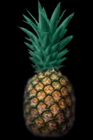 DiHard